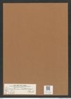 Triceratium szakalense Pant. (de-Toni-Nr.: Genus 140, Species 3967) Zeichnungen Sammlung Grunow Mappe 03968 (Herbarium_W_Grunow_drawings_Folder_03968)